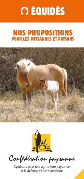 Plaquette �quid�s